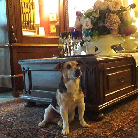 B&B Silvana Travedona Zewnętrze zdjęcie