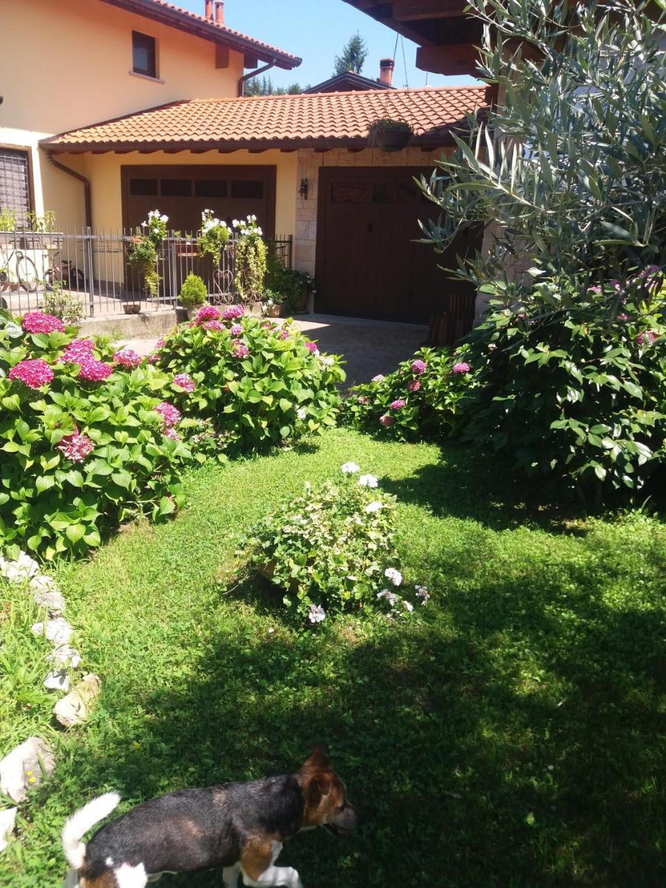 B&B Silvana Travedona Zewnętrze zdjęcie